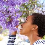 How HHC Vape Addresses Common Challenges with Calming Properties