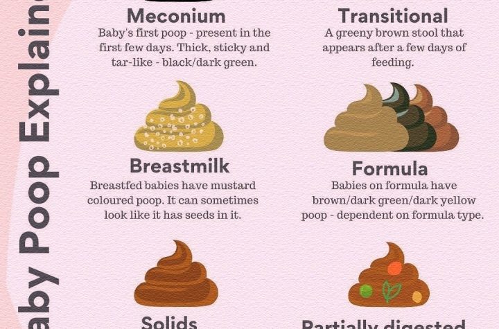 Baby Poop Chart