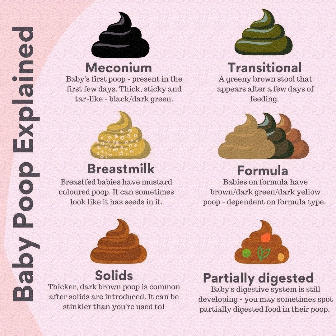 Baby Poop Chart