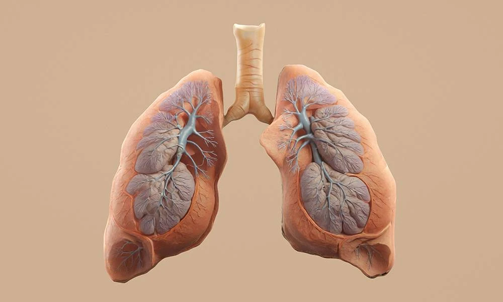 Understanding the Different Types of Pneumothorax and Their Warning Signs