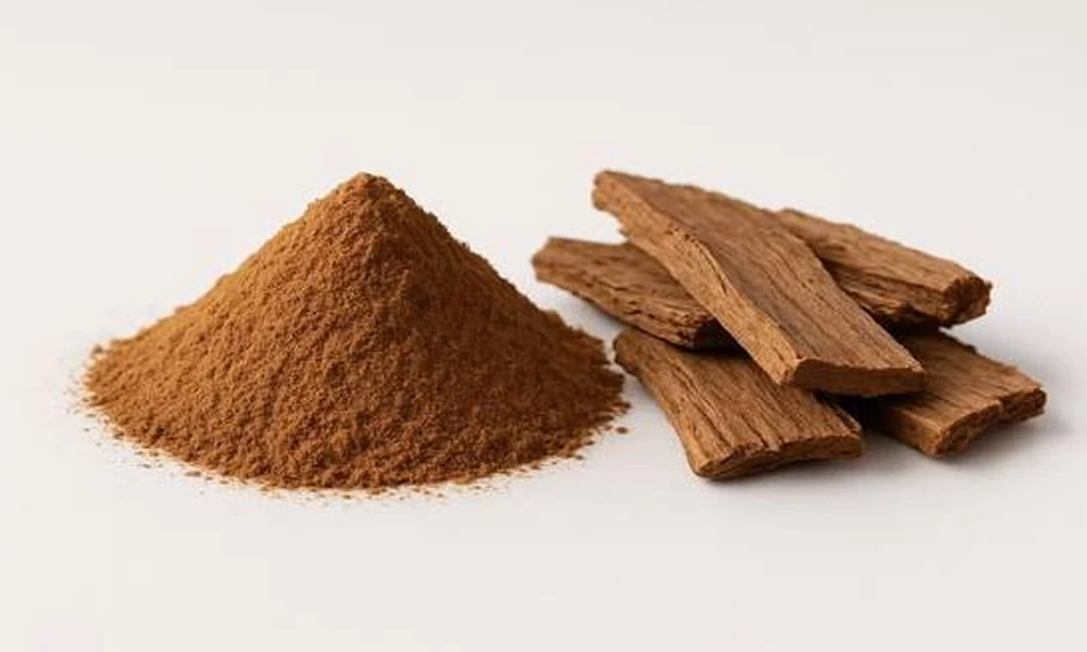 Arjuna Bark and Heart Health: Understanding India’s Ancient Cardiac Remedy