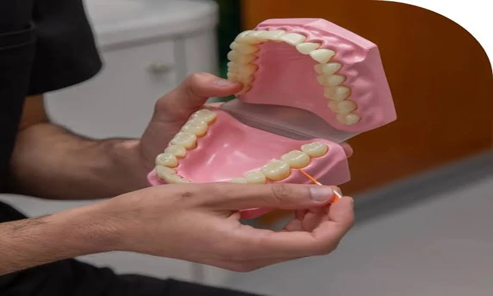 Family Dentist Anchorage: Supporting Different Oral Health Needs Across Ages